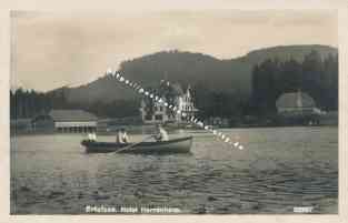 Bild einer Postkarte aus Erlaufsee