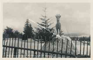 Bild einer Postkarte aus Jauerling